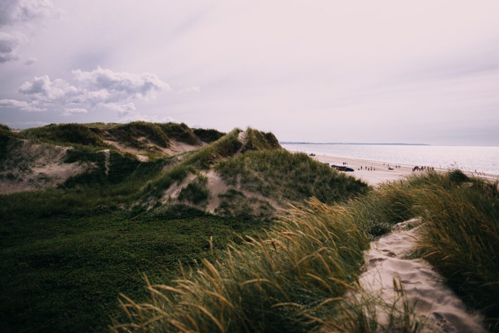 camping limfjorden